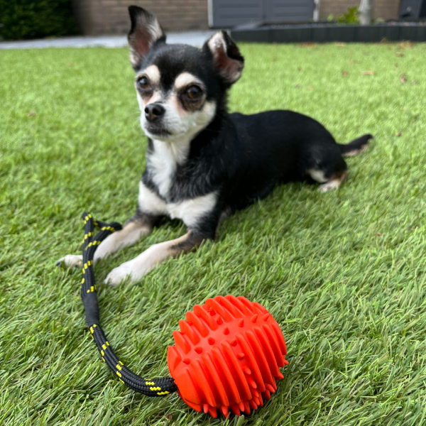 Atomic Rope Ball